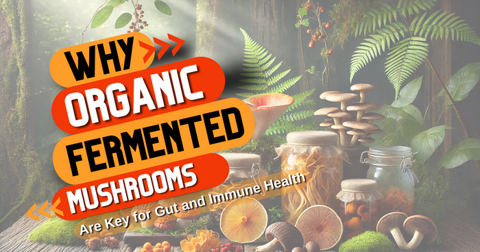 Why Organic Fermented Mushrooms Are Key for Gut and Immune Health