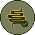 Simple intestines icon with green background.